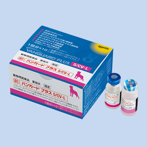 �o���K�[�h�v���X5/CV-L