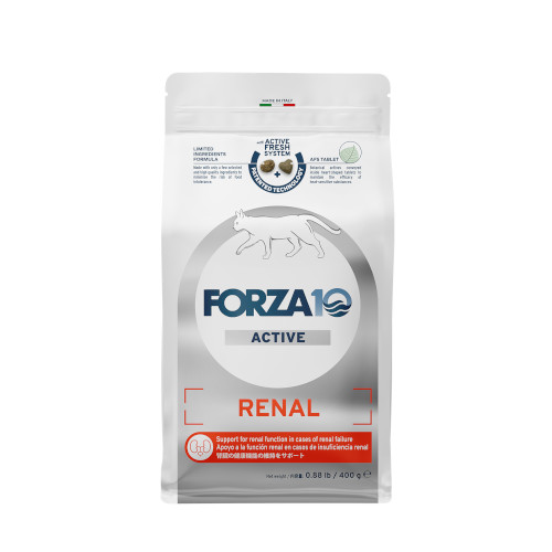 Forza10 i[ANeBu Lbg