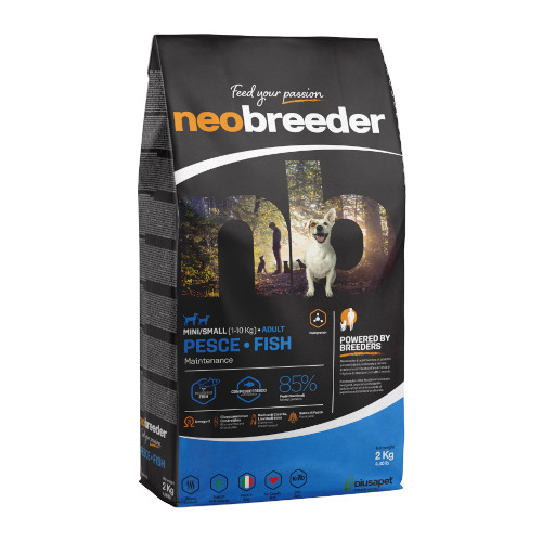 �l�I�u���[�_�[�@�t�B�b�V���@�����p�i�����j