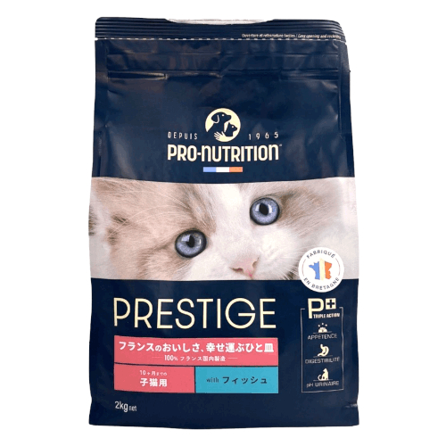 �v���X�e�B�[�W �L�p �L�g�� �t�B�b�V��