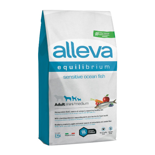 �A�����@�E�G�N�C���u���A���@�Z���V�e�B�u�I�[�V�����t�B�b�V���@�����p�i�����j