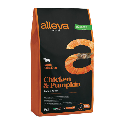 �A�����@�E�i�`�������@�`�L��&�p���v�L���@�����p�i�����j