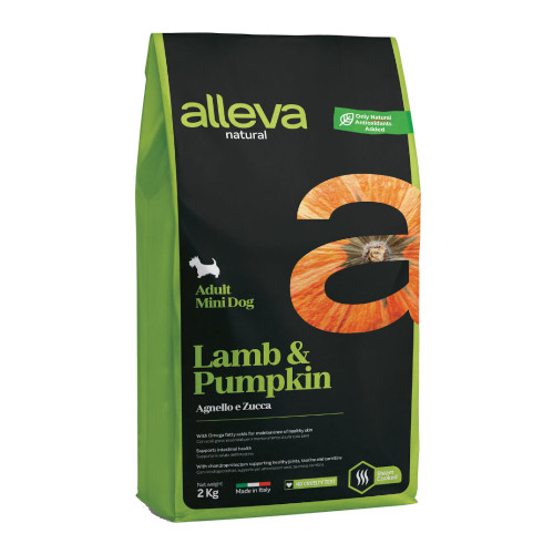 �A�����@�E�i�`�������@����&�p���v�L���@�����p�i�����j