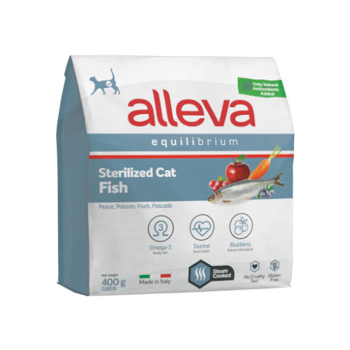 �A�����@�E�G�N�C���u���A���@�t�B�b�V���@�����E��D���L�p