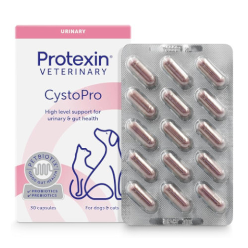 �y���ʌ���E�����i�z�V�X�g�v��