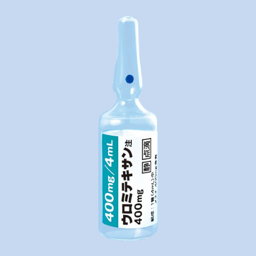yؔzE~eLT400mggp2025/12/31