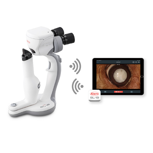 |[^uXbgv R[ SL-19plus p