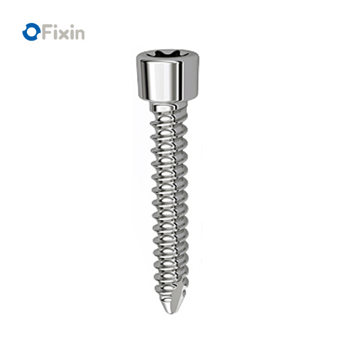 Fixin micro �X�N�����[��1.3mm