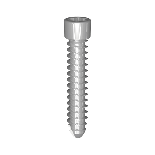 Fixin micro �X�N�����[��1.7mm