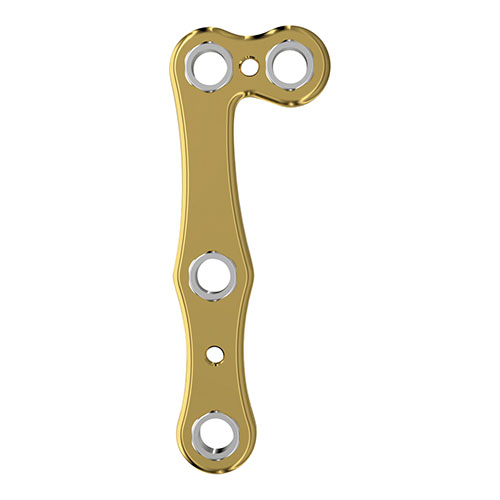 Fixin micro L�^�v���[�g