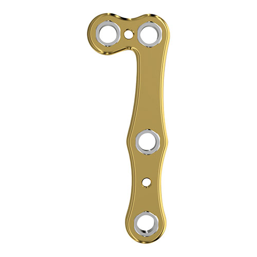 Fixin micro L�^�v���[�g