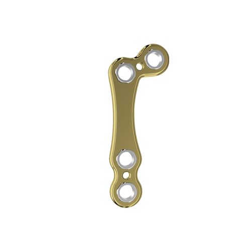 Fixin micro L^v[g