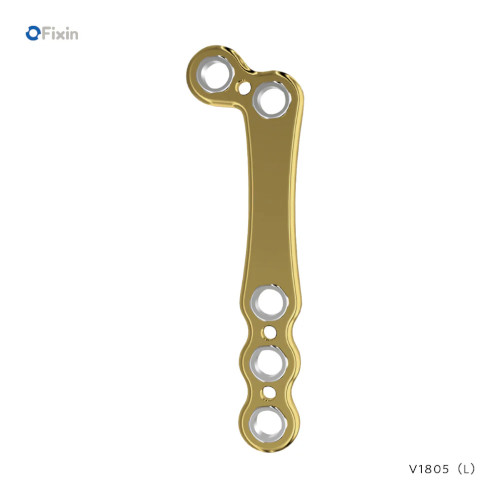 Fixin micro L�^�v���[�g