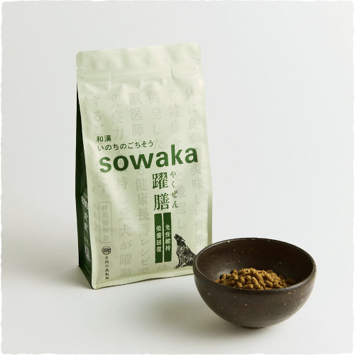 sowaka@ViƉuێEh{񕜁j
