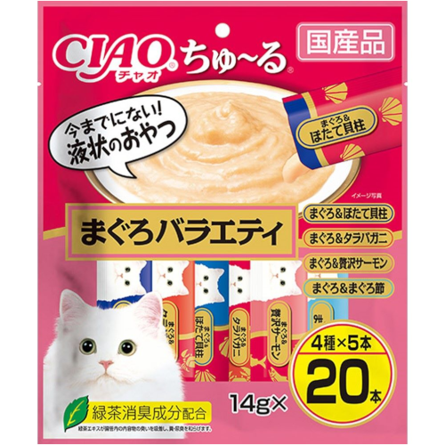 [܂oGeB