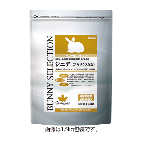 yؔzoj[ZNV@gp2026/2/28