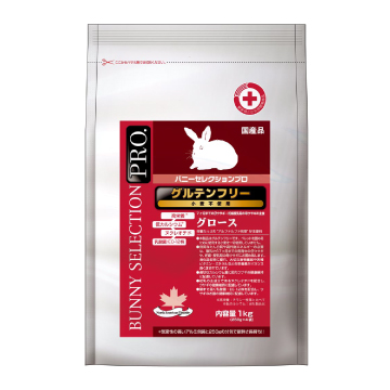 yؔzoj[ZNVv@Oet[@O[X@gp2026/2/28