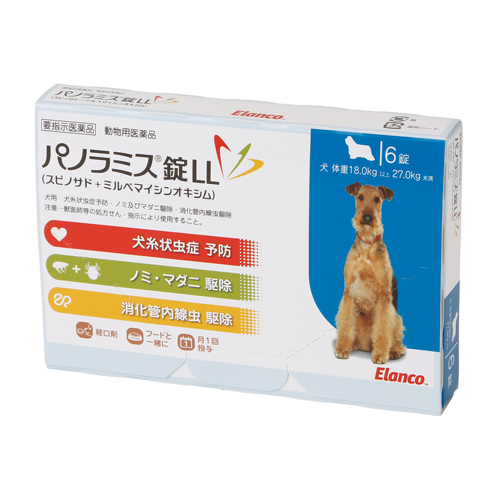 yؔzpm~X@LL@gp2026/3/31