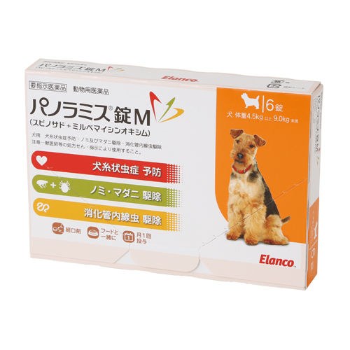 yؔzpm~X@M@gp2026/2/28