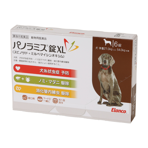 yؔzpm~X@XL@gp2026/3/31