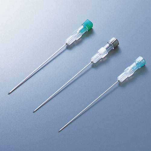 yؔzgbvXpCijp@gp2026/2/28