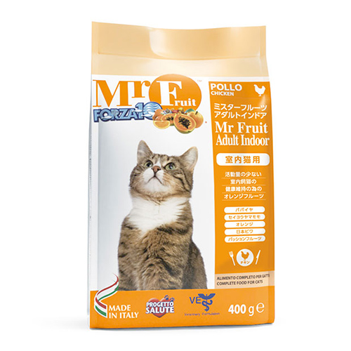 yؔz~X^[t[c A_gChA@gp2026/1/31