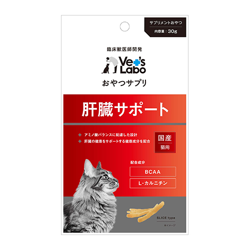 yؔzTv@Lp@̑T|[g@gp2026/1/31