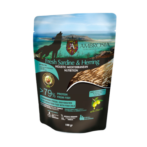 yؔzAuVA HMNT[fBwO@gp2026/1/31