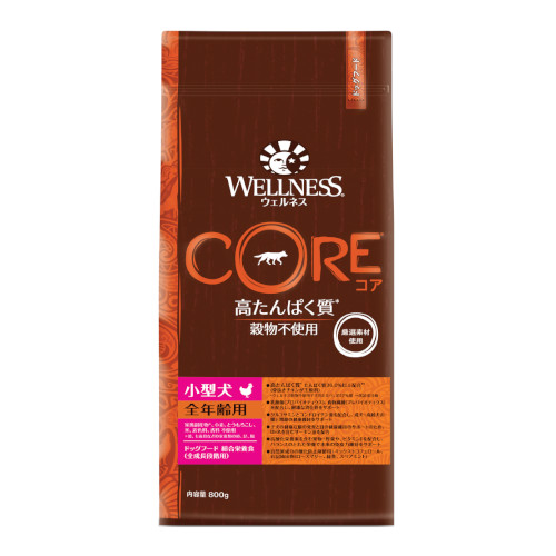 yؔzRA@^SNp@gp2026/2/25