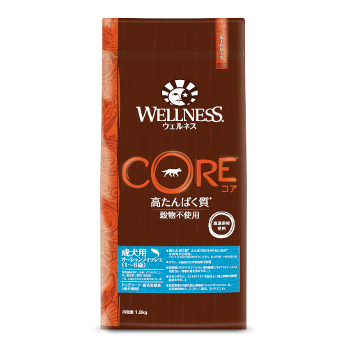 yؔzRA@p I[VtBbV@gp2026/2/28