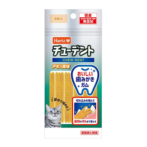 yؔz`[fg for Cat@`L@gp2026/2/28