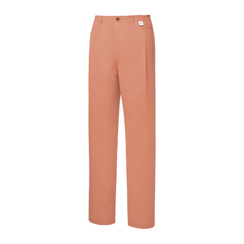 DOM-0023 �p���c���p