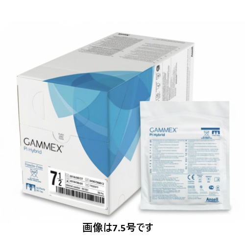 GAMMEX PI HYBRID