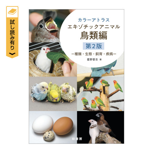 J[AgXGL]`bNAj} ޕ QŁ@ށEԁEEa