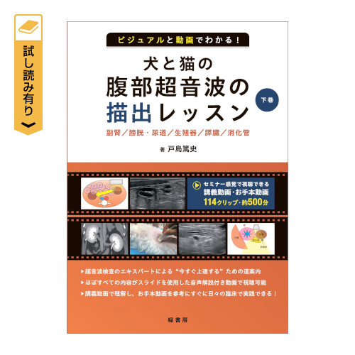 rWAƓł킩I ƔL̕g̕`obX 