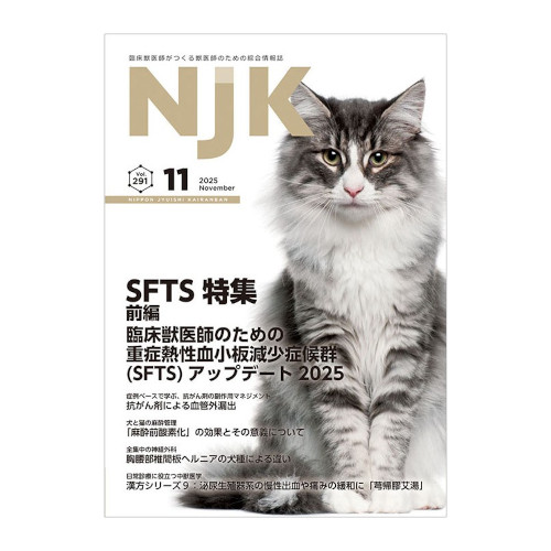 miju{bt񗗔v2025N11