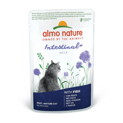 �t�@���N�V���i���Z���V�e�B�u�@�t�B�b�V������̂��y��