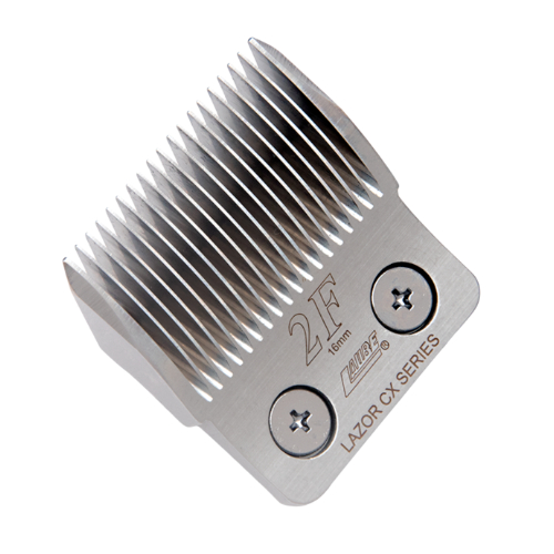 F.I.A.�V���[�N���ʑ֐n