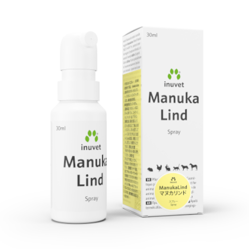 �}�k�J�����h �X�v���[