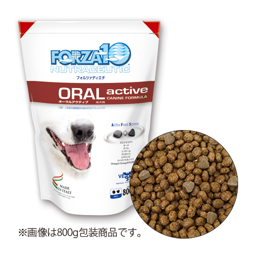 �y�����ؔ��z�I�[���� �A�N�e�B�u�i���o�j�h�b�O�@�g�p����2026/3/31