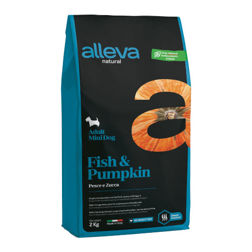 �y�����ؔ��z�A�����@�E�i�`�������@�t�B�b�V��&�p���v�L���@�����p �g�p����2026/4/23