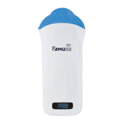 �t�@���{MC