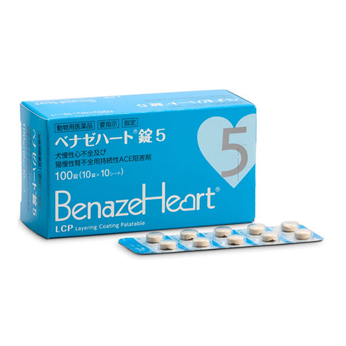 �y�����ؔ��z�x�i�[�n�[�g��5�g�p����202608