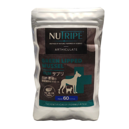 �j���[�g���C�v�@�f�k�l�T�v��