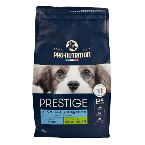 �y�����ؔ��z�v���X�e�B�[�W ���p �p�s�[ ���� MINI�@�g�p����2026/5/27