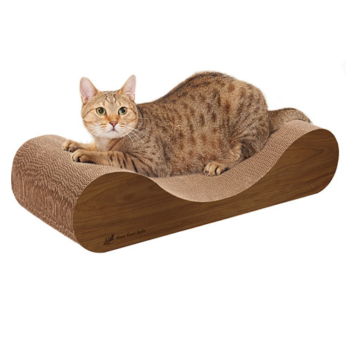 �K���K���\�t�@SK �C���e���A