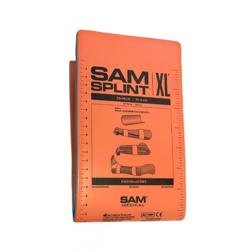 �T���X�v�����g�@���[�W�i�l�܁j