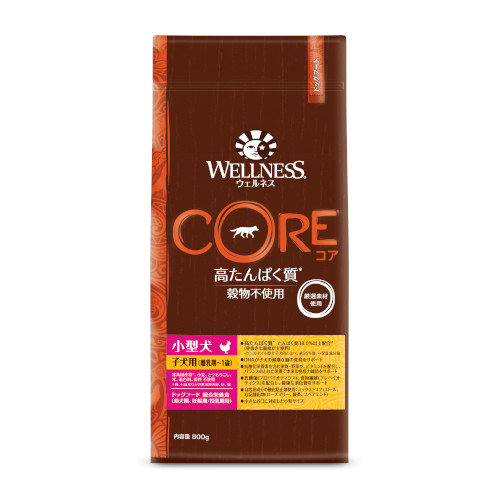 �R�A�@���^���q���p