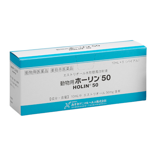 �y�����ؔ��z�����p�z�[����50�@�g�p����2026/6/30