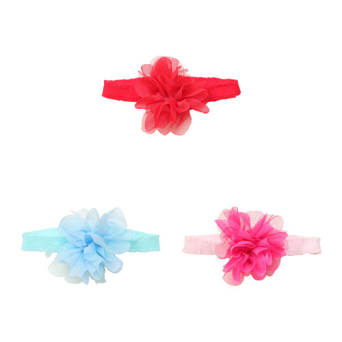 �V�t�H�����`�[�t�E�v�`�v���V���V��(12�{��)